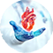 BioDHeart - Heart Tissue Model