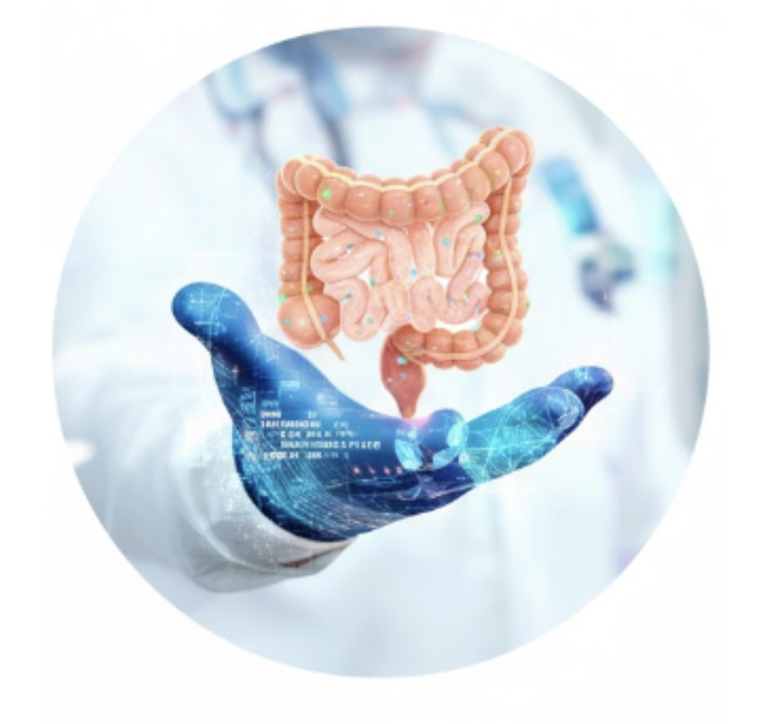 BioDIntEp - Intestinal Epithelium