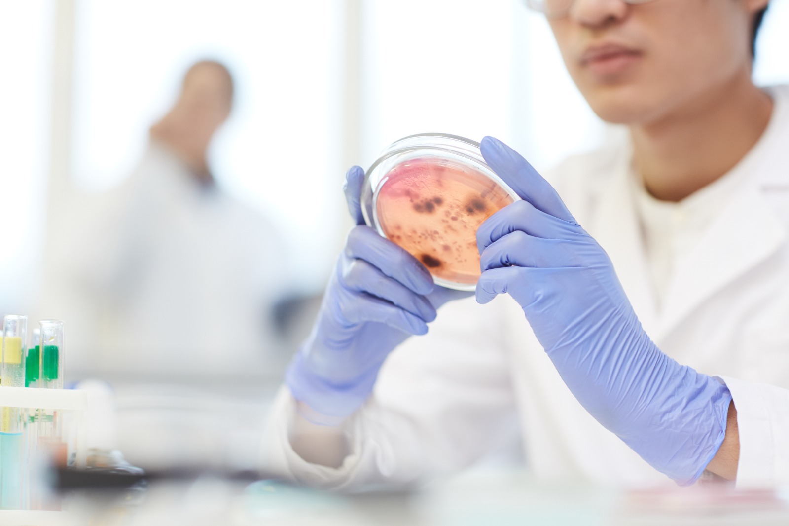 In-silico testing and computational modeling