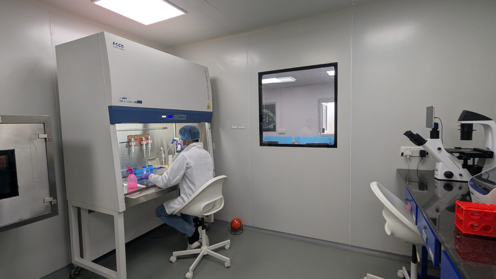 Biodimension cell culture suite — researcher working in a biosafety cabinet